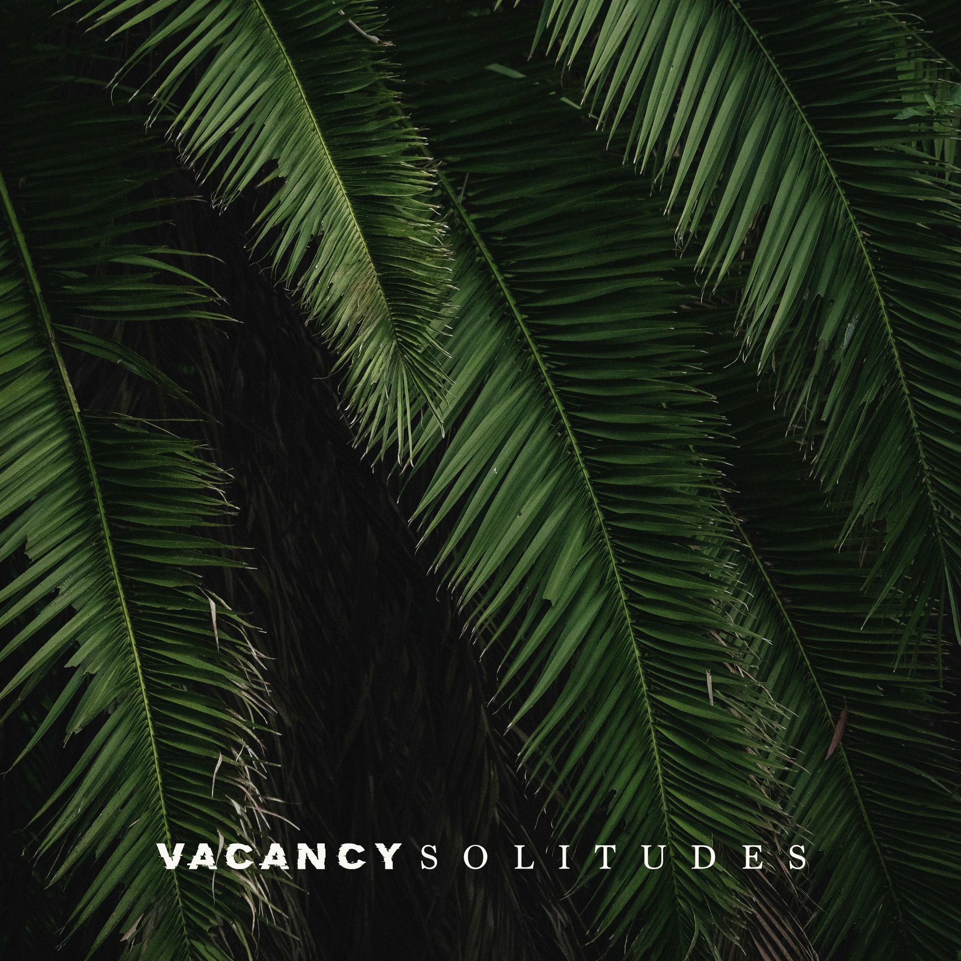 Artist picture of Solitudes