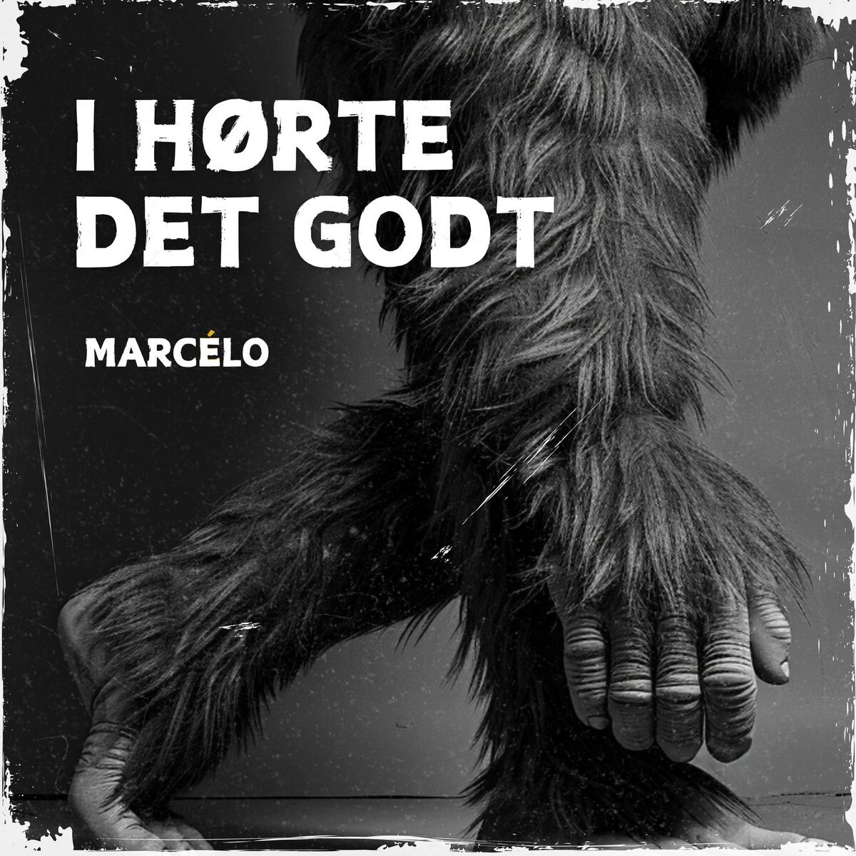 Artist picture of Marcelo