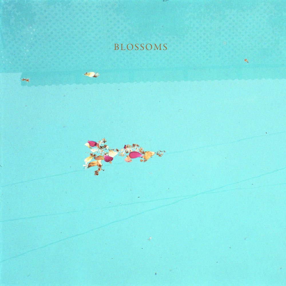 Photo de l'artiste Carolina Lee