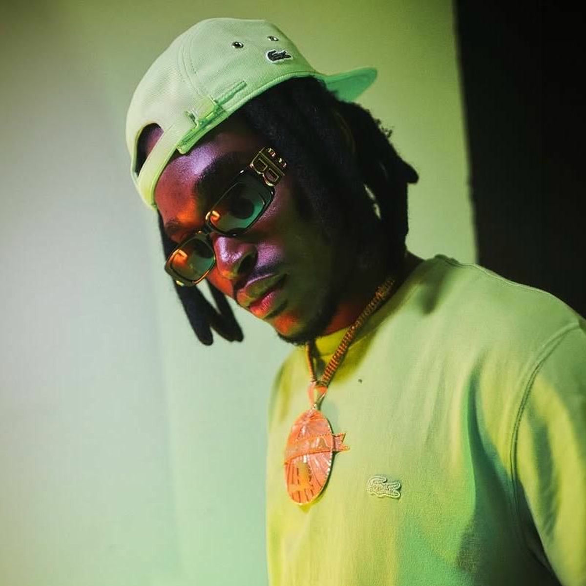 Artist picture of Lion P