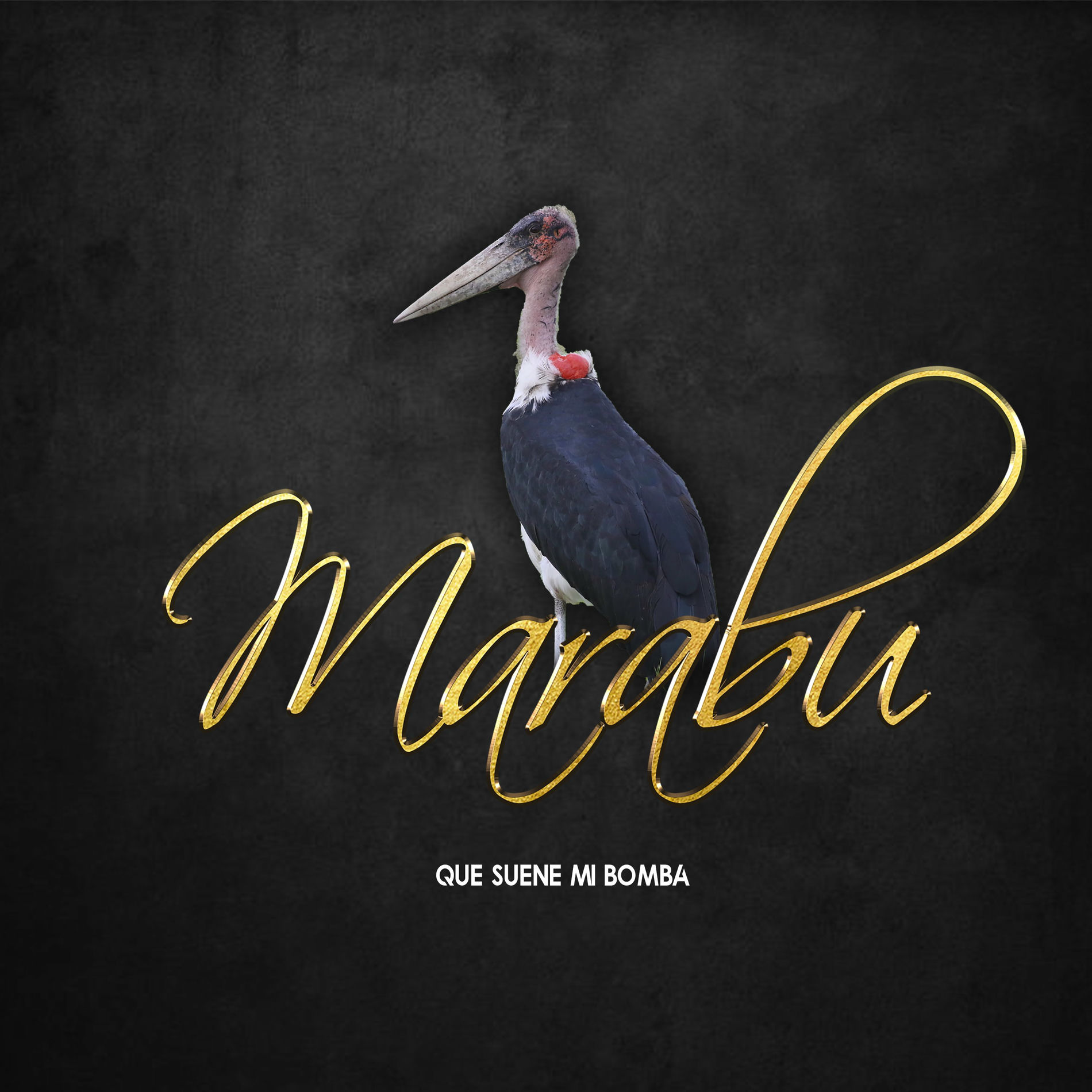 Grupo Marabu