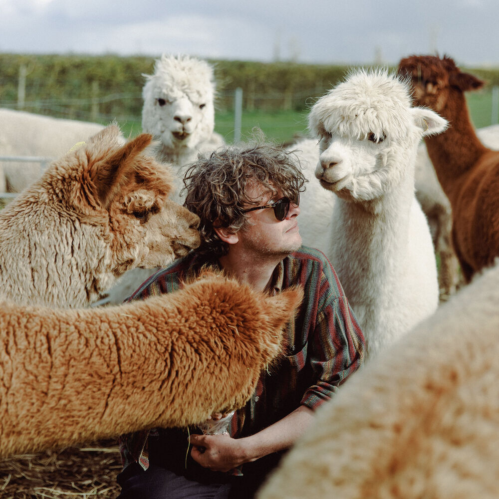 Picture of Bill Ryder-Jones