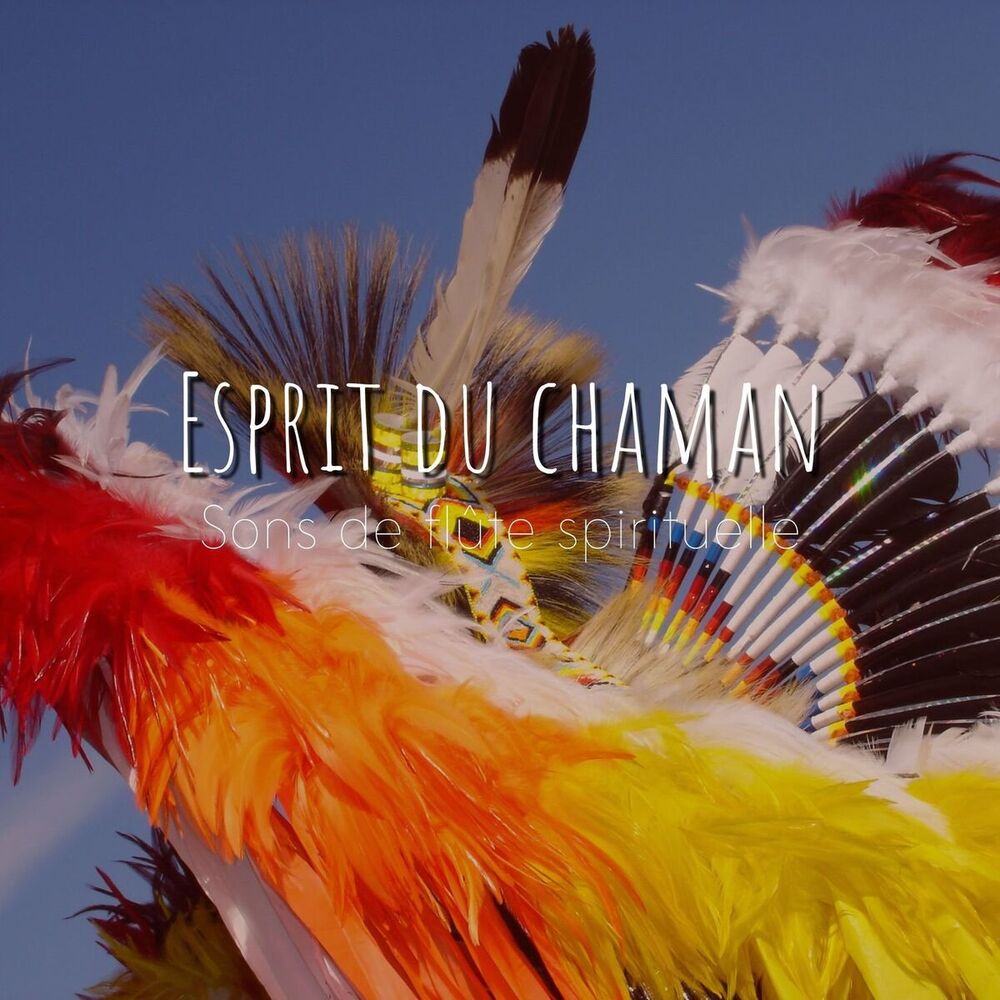 Picture of American Native