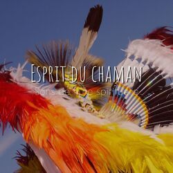 Picture of American Native