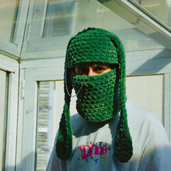 Picture of camoufly