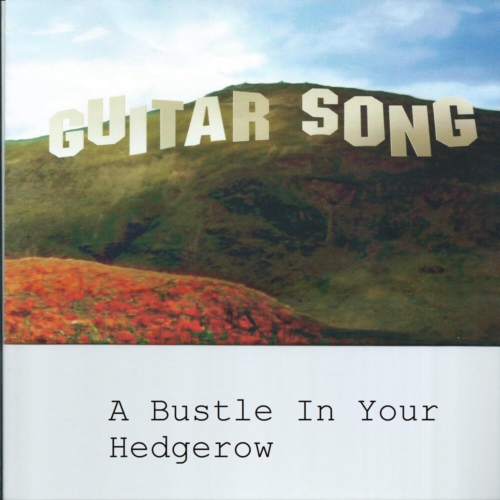 Picture of Guitar Song