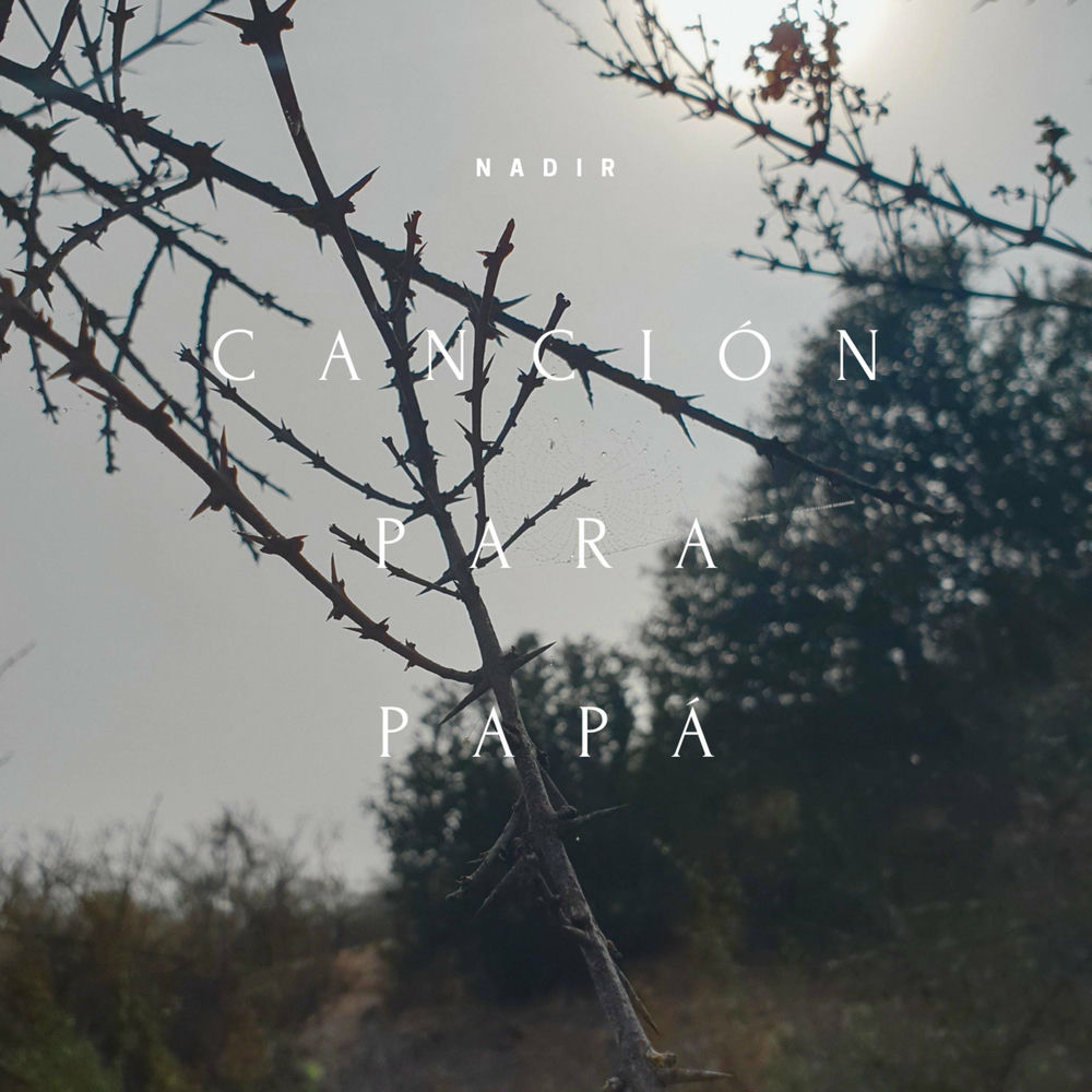 Photo de l'artiste Nadir Oficial