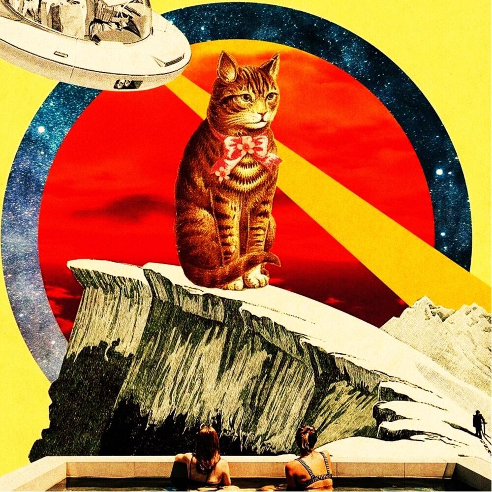 Picture of Cat Music Studio