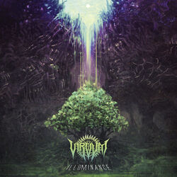 Picture of Virvum