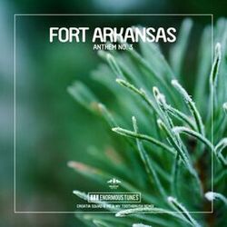 Picture of Fort Arkansas