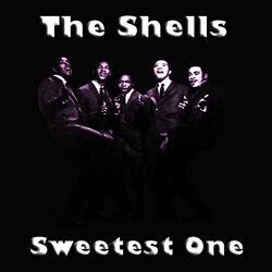 Picture of The Shells
