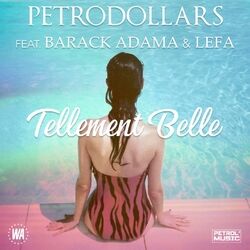 Picture of Petrodollars