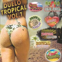 Picture of Duelo tropical