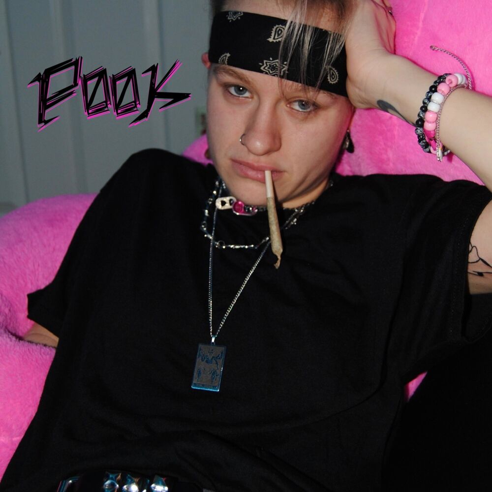 Picture of pøøk