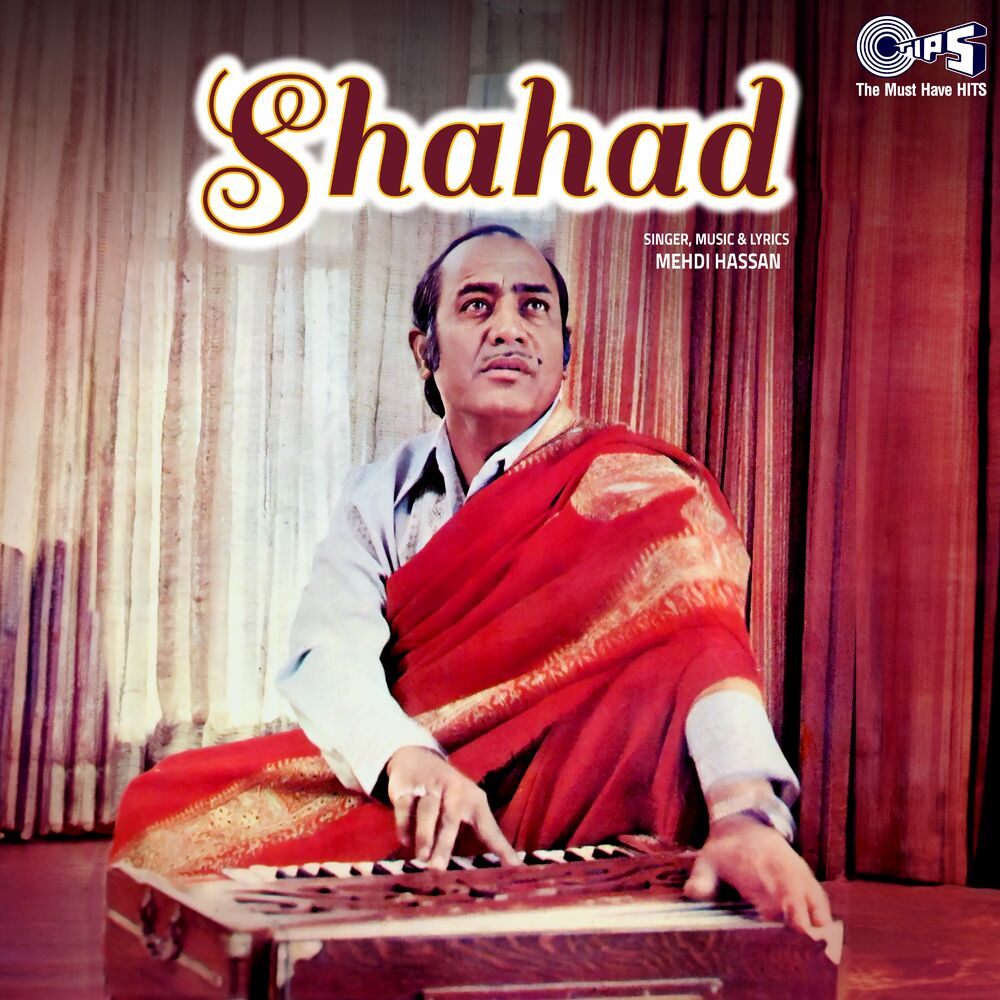 Picture of Mehdi Hassan