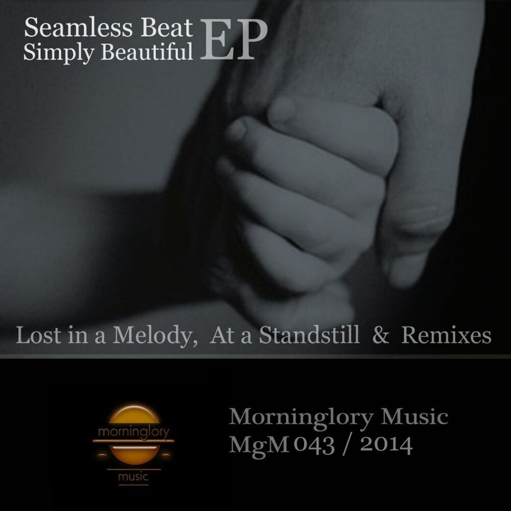 Picture of SeamLess Beat