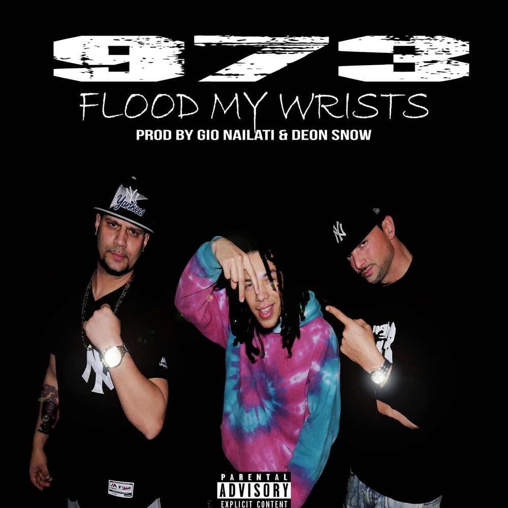 Picture of 973