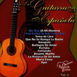 Picture of Guitarra Flamenca: Domi de Ángeles