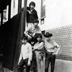 Picture of ? and the Mysterians