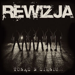 Picture of Rewizja