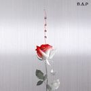 B.a.p