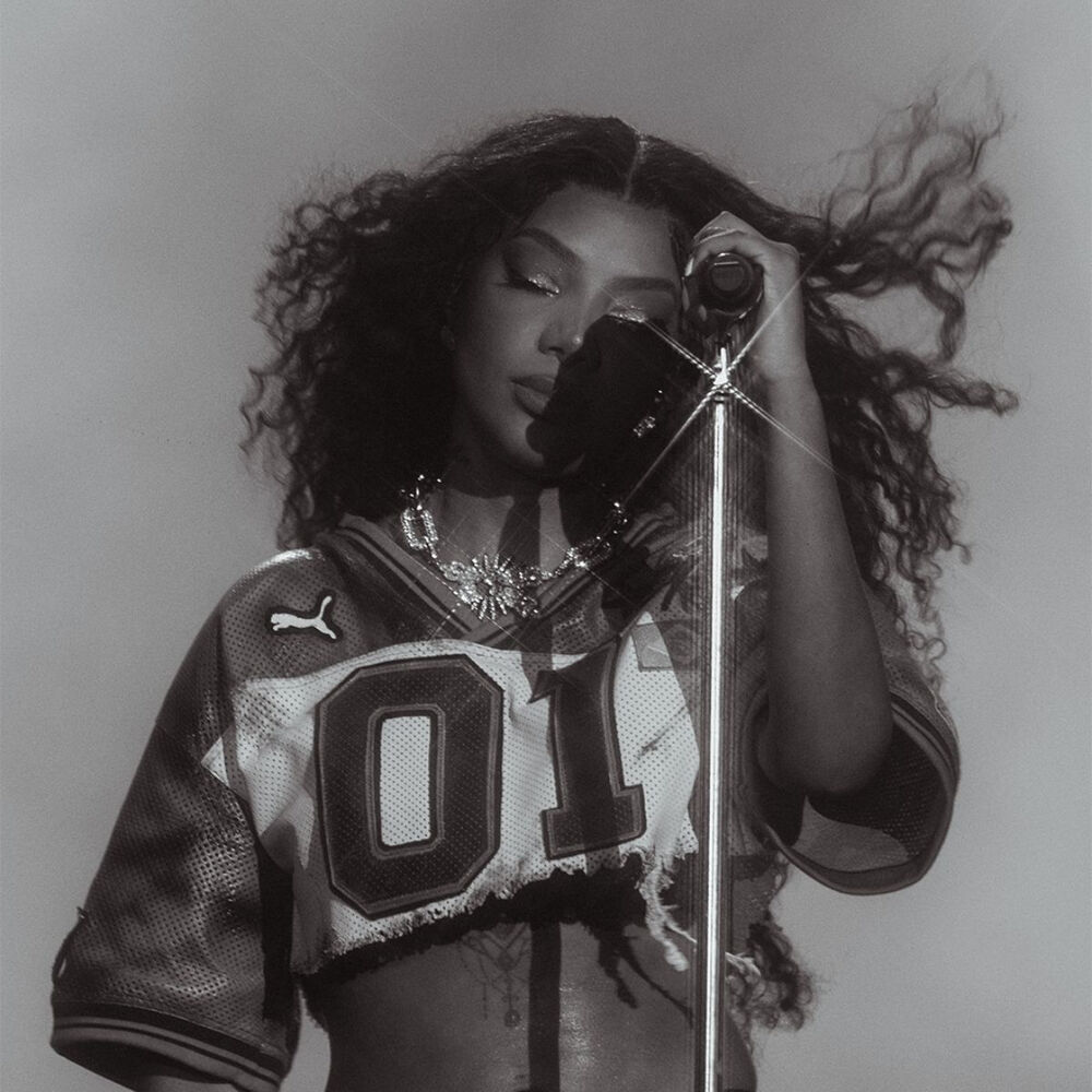 Picture of LUDMILLA
