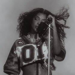 Picture of LUDMILLA