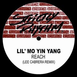 Picture of Lil' Mo' Yin Yang