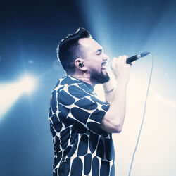 Picture of Netto