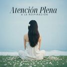 Técnicas de Meditación Academia