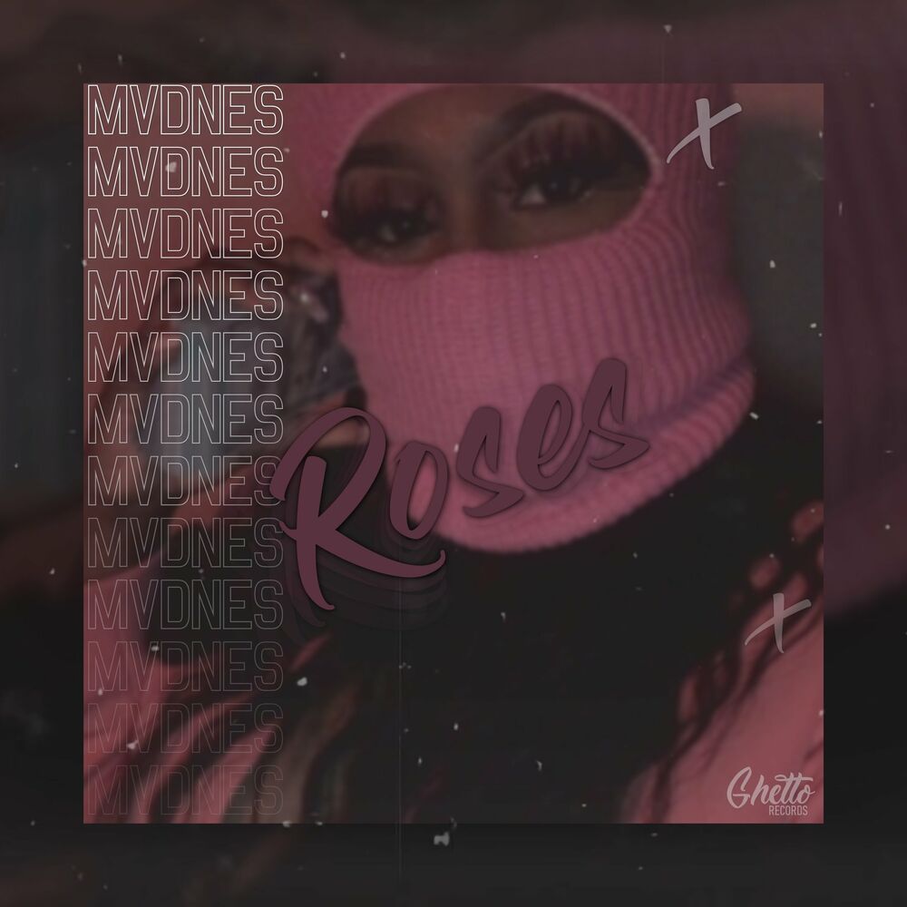 Picture of MVDNES