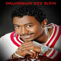 Picture of Shoukrallah Ezz Eldin