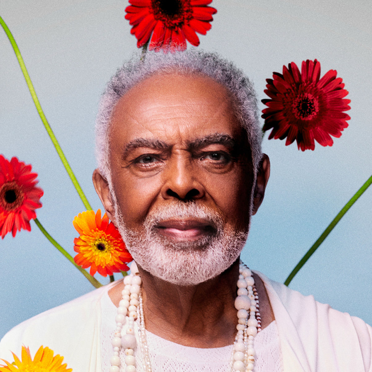 Artist picture of Gilberto Gil
