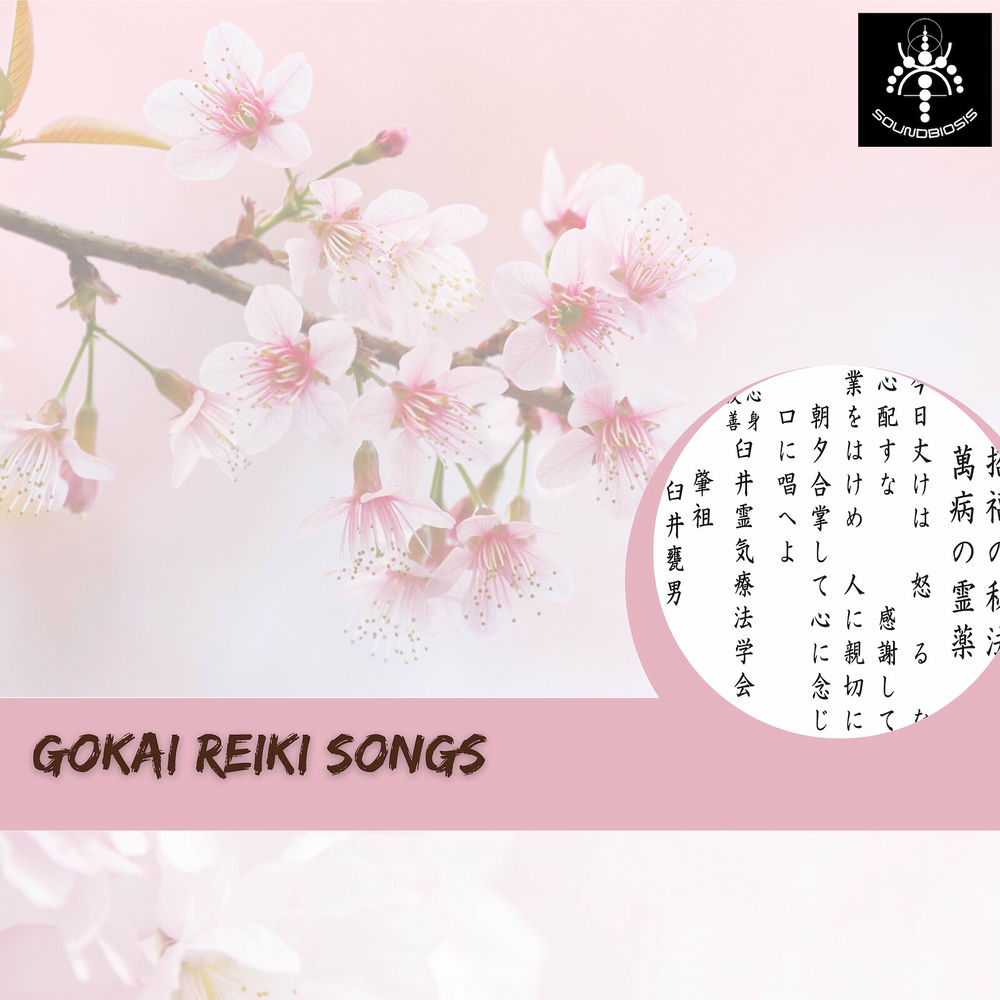 Photo de l'artiste Soundbiosis