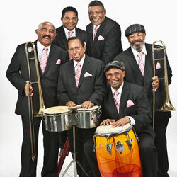 Picture of Dimension Latina