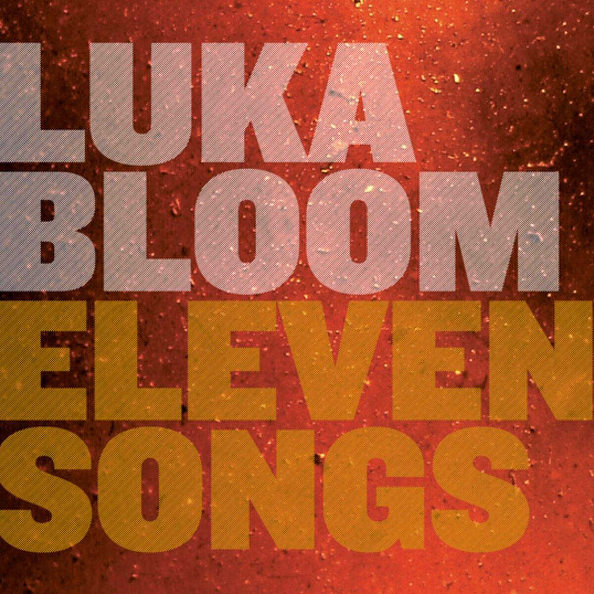 Luka Bloom