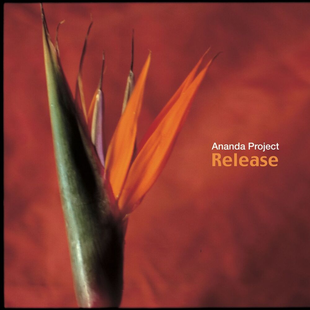 Picture of Ananda Project