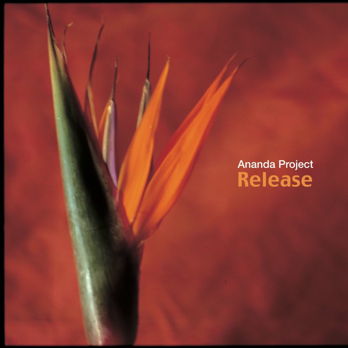 Artist picture of Ananda Project