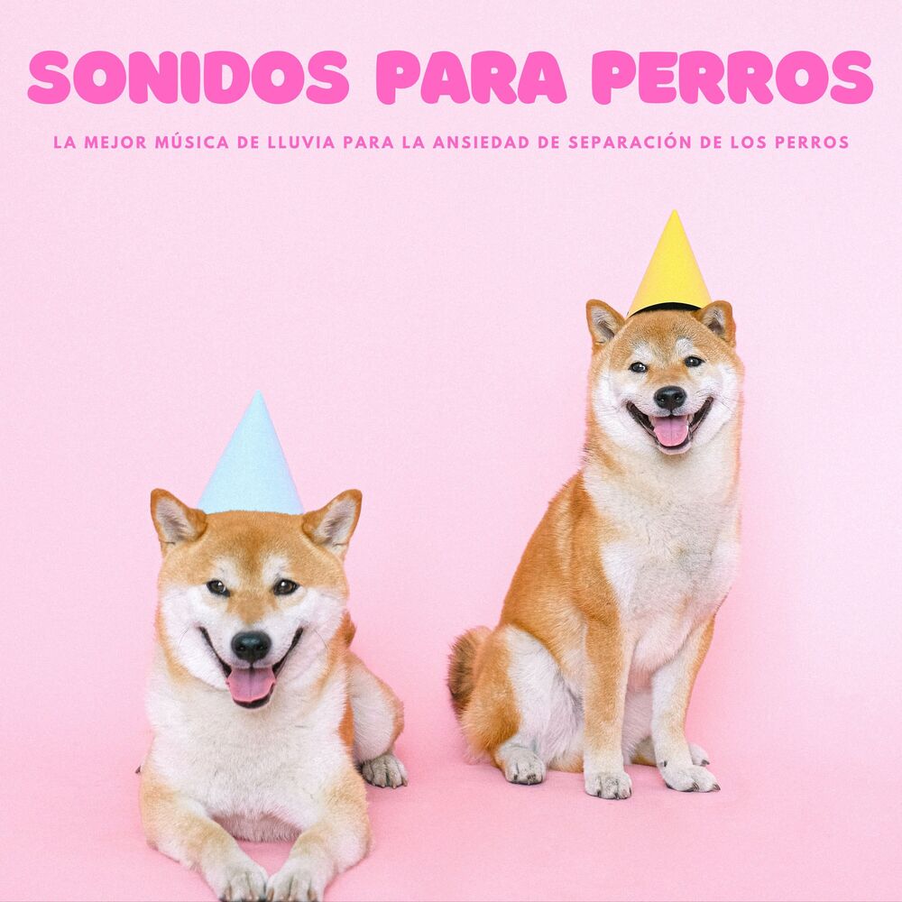 Picture of Musica Relajante para Perros Momentos