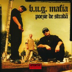 Picture of B.U.G. Mafia