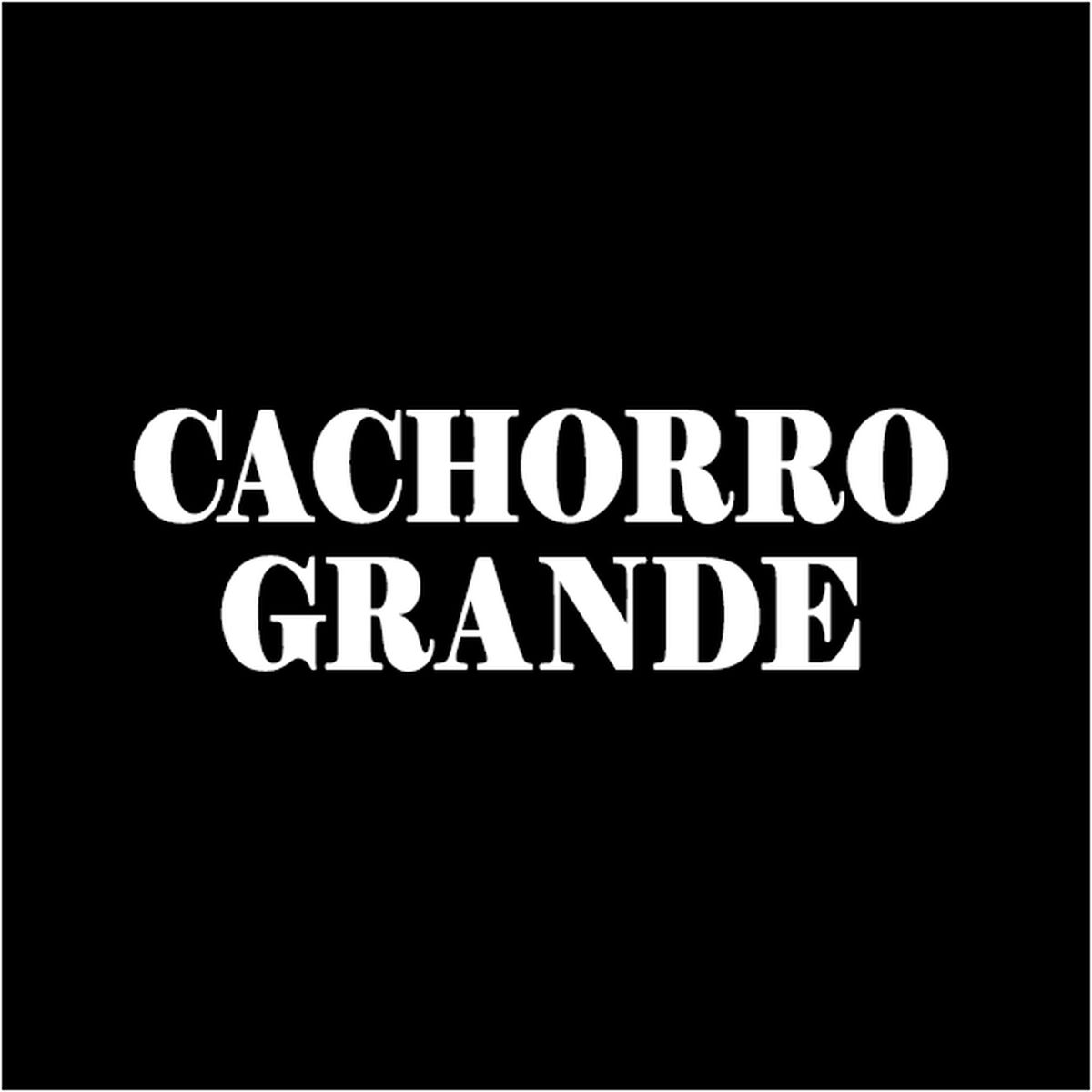 Artist picture of Cachorro Grande