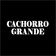 Cachorro Grande