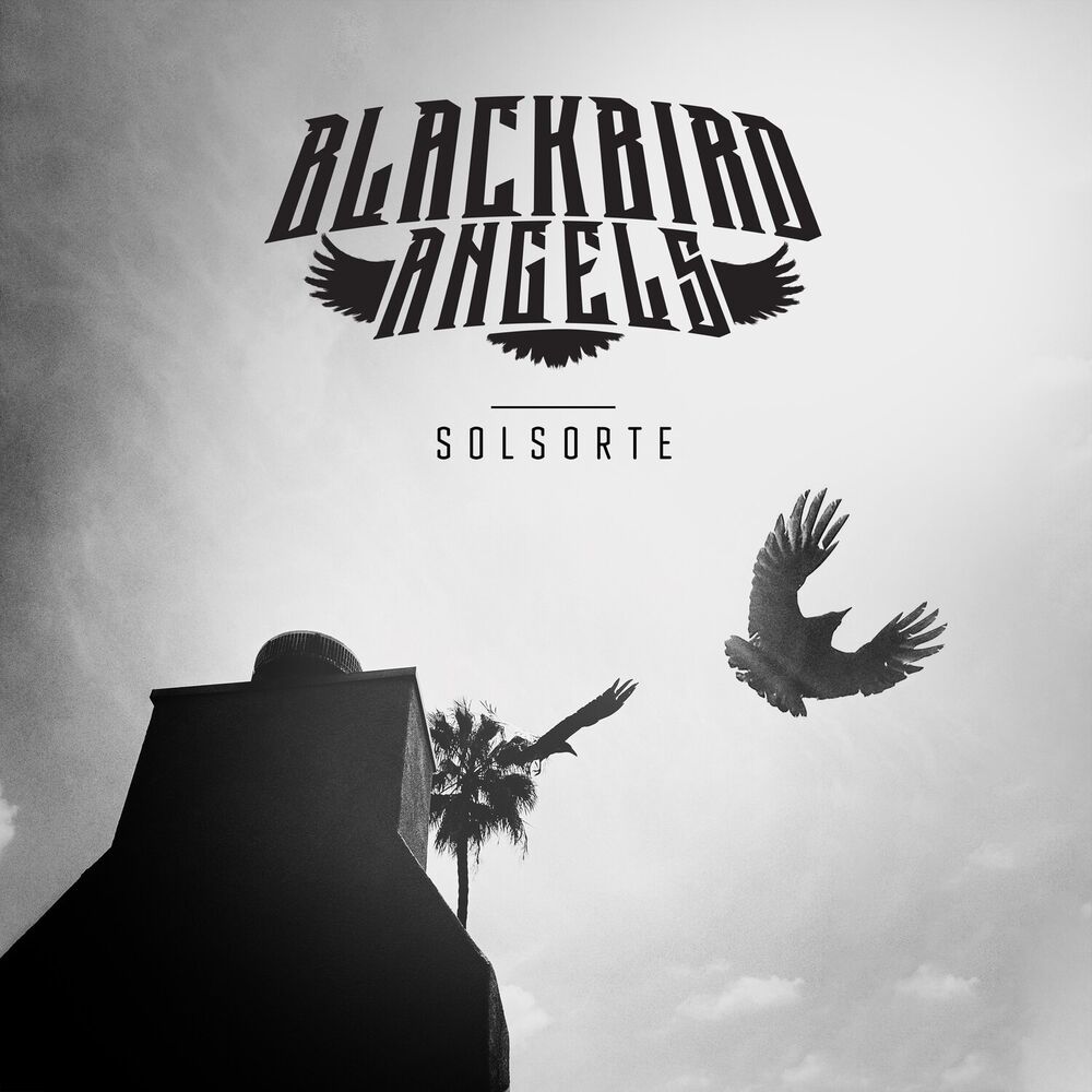 Picture of Blackbird Angels