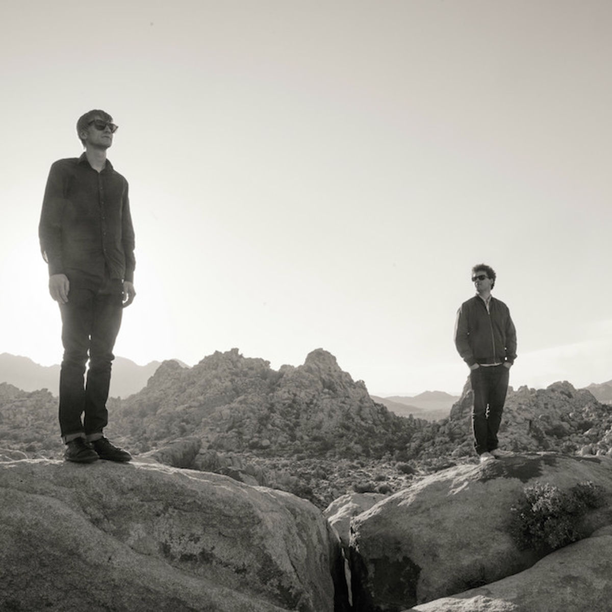 Artist picture of Simian Mobile Disco