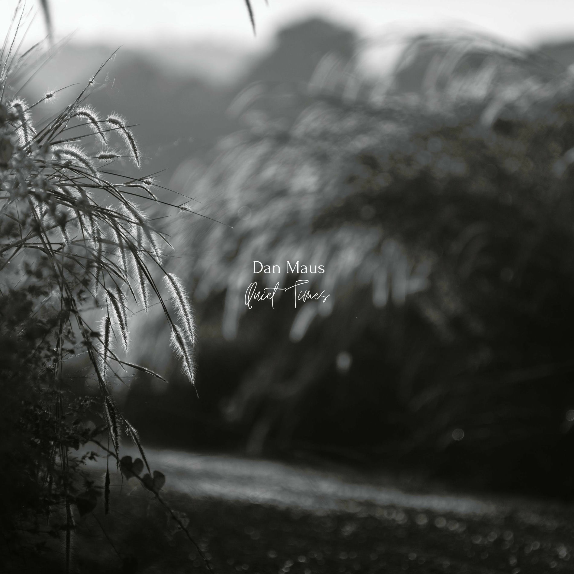 Artist picture of Dan Maus