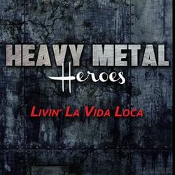 Picture of Heavy Metal Heroes