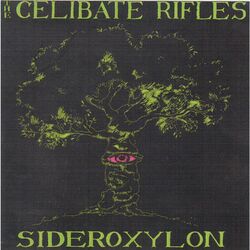 Picture of The Celibate Rifles
