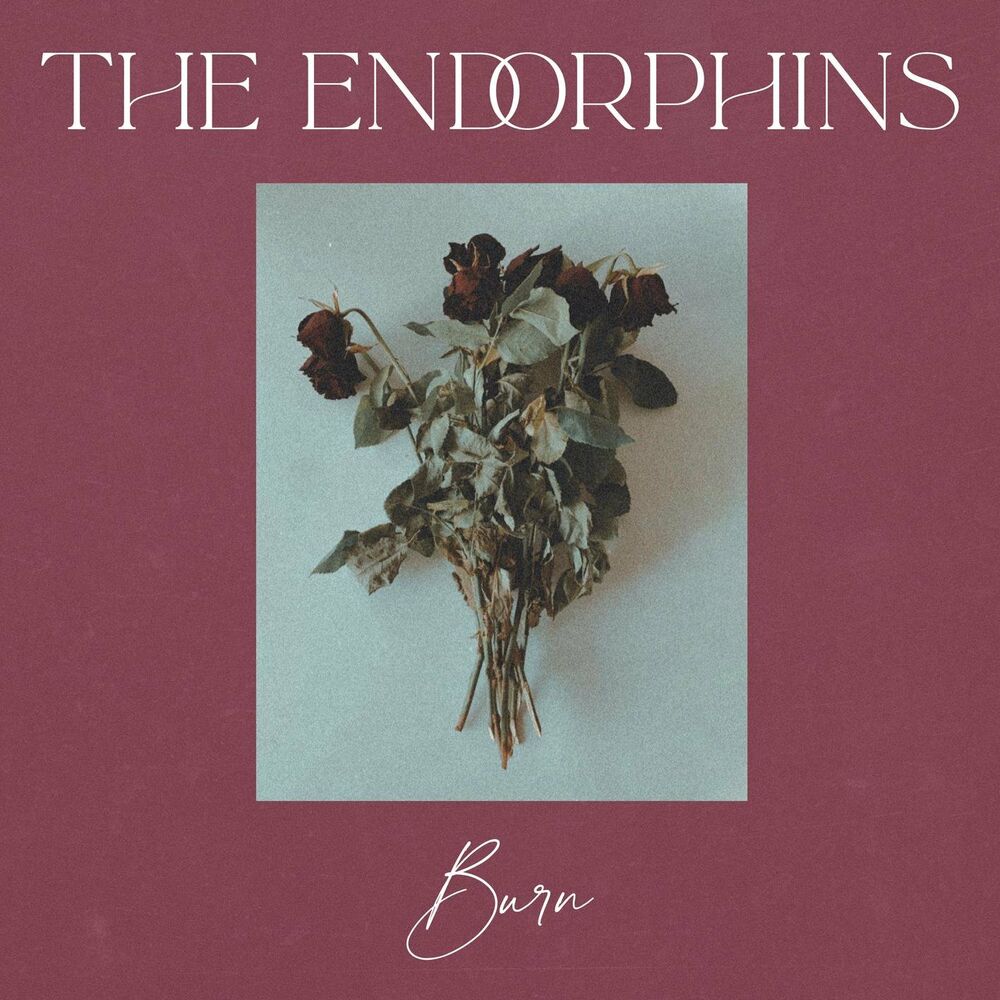 Picture of The Endorphins
