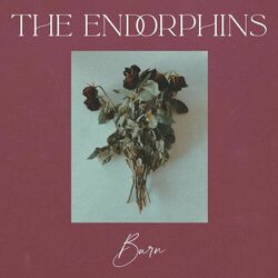 Picture of The Endorphins