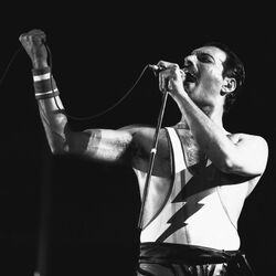 Picture of Freddie Mercury
